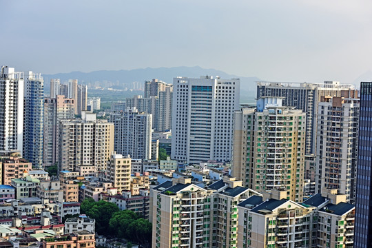 高楼大厦 深圳新洲村