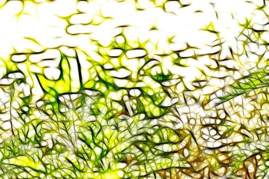 點(diǎn)地梅花叢