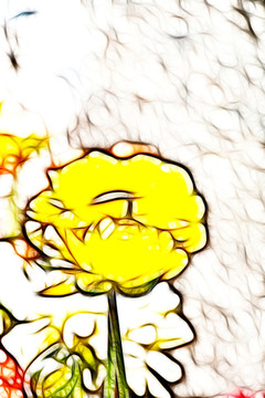 黃色花毛茛