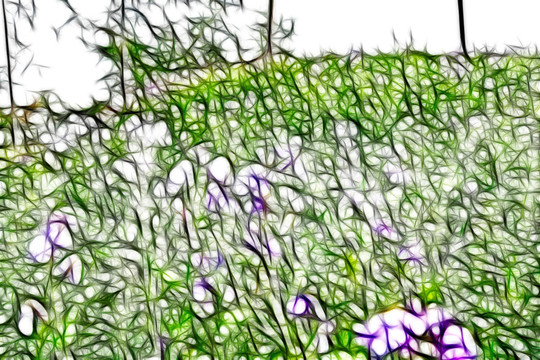 樹林花叢