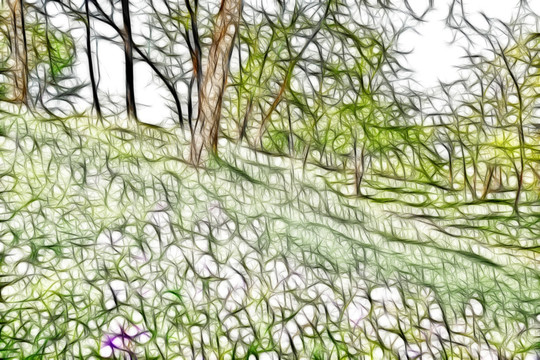 樹林花叢