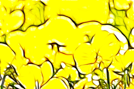 黃色三色堇