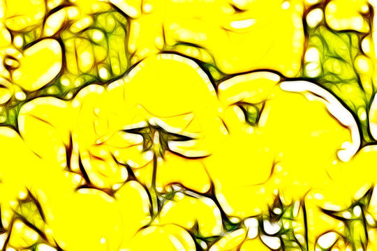 黄色三色堇