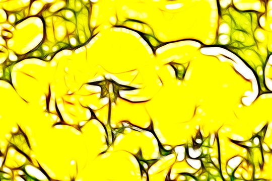黃色三色堇
