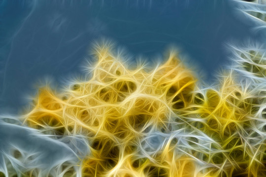 流蘇樹開花裝飾畫