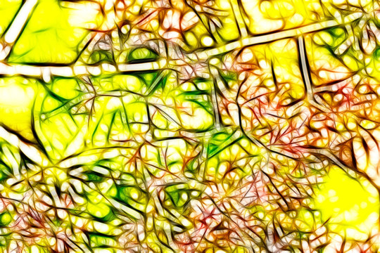 黃櫨開花抽象畫