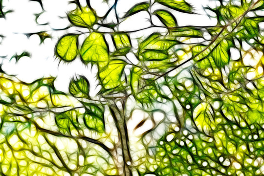 枝葉抽象畫