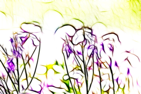 二月蘭抽象畫