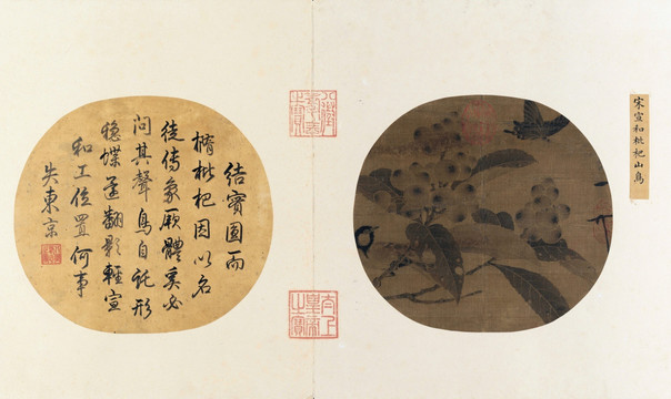 北宋 趙佶 枇杷山鳥圖