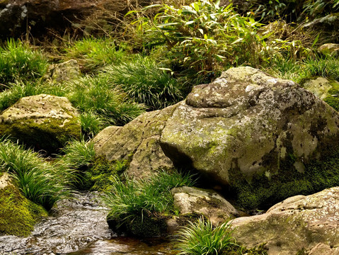 遂昌神龙谷山涧石块