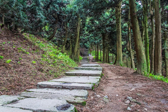 山间小路