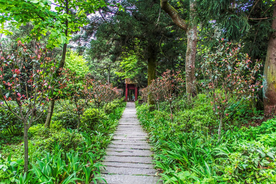 山间小路