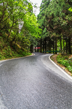 盘山公路