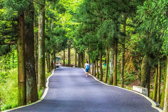 盘山公路