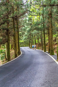 盘山公路