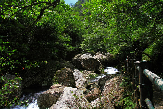 井冈山 龙潭 瀑布