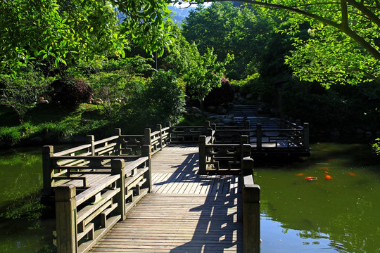 井冈山 挹翠湖公园