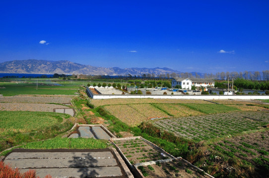 田园胜景