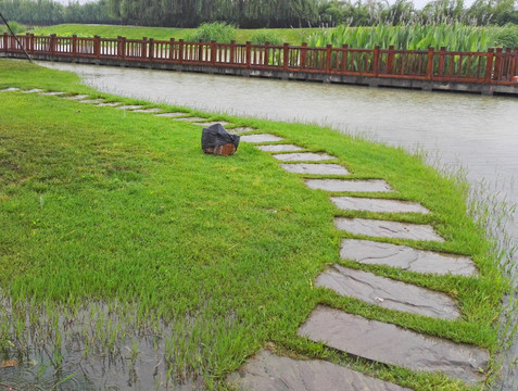 城市园林小景 雨中的池塘