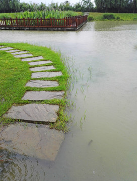 城市园林小景 雨中的池塘