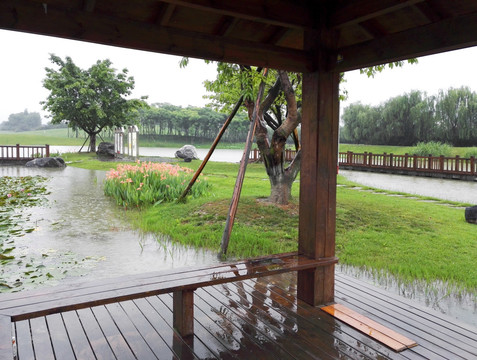 城市园林小景 雨中的小木亭