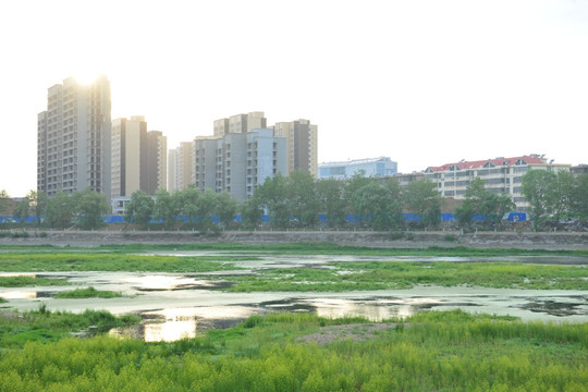 河岸风景  河道