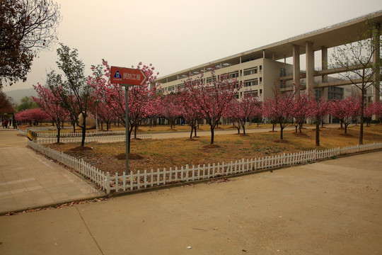 矿业大学