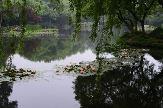 西湖风景区