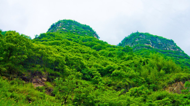 大山 直插云霄 山峰