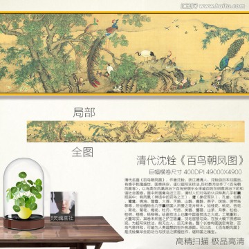 百鸟朝凤图 清代沈铨作品不分层