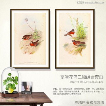 美克美家鳥類裝飾畫