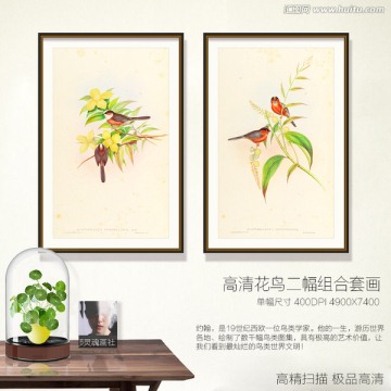 花鳥簡約裝飾畫
