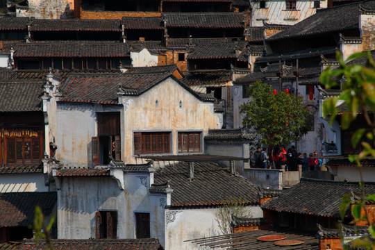 婺源 篁岭