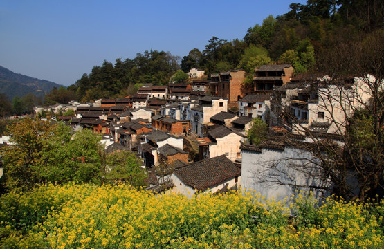 婺源 篁岭