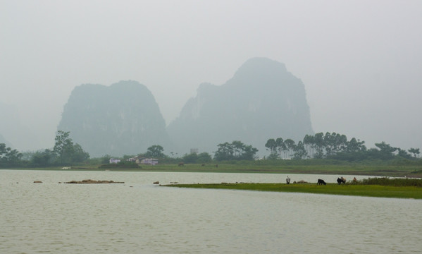 湿地 毛塘湿地 上林