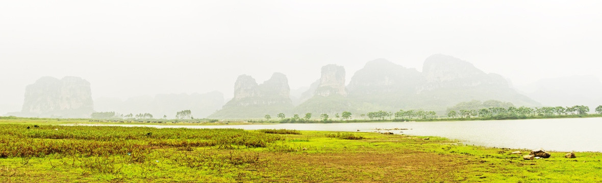 湿地 毛塘湿地 上林 草地