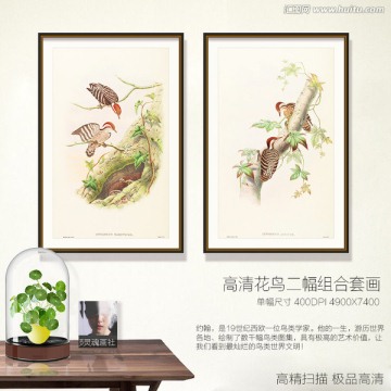 啄木鳥 鳥類現(xiàn)代組合裝飾畫