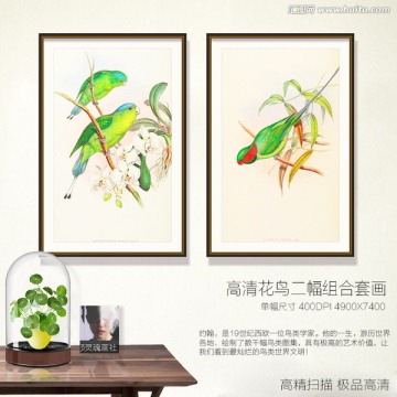 鸚鵡 鳥類現(xiàn)代組合裝飾畫