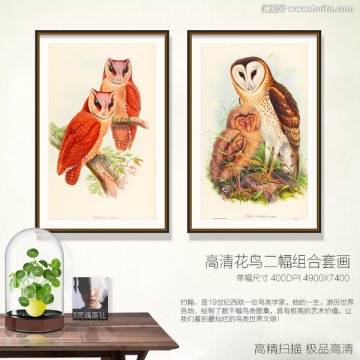 貓頭鷹 鳥類現(xiàn)代組合裝飾不分層