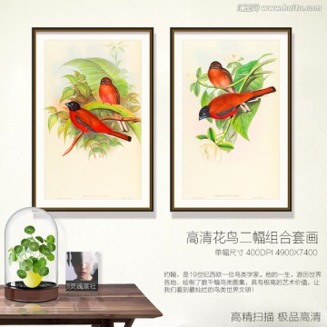 鳥類現(xiàn)代組合裝飾畫 不分層