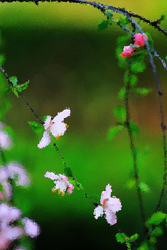桃花油畫