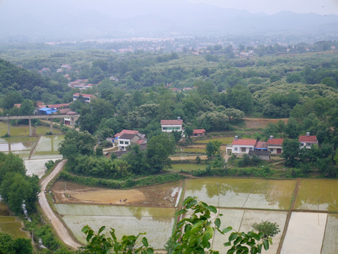 山里水田