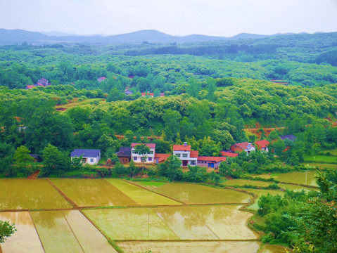 山里农田房屋