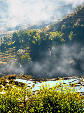 大山梯田