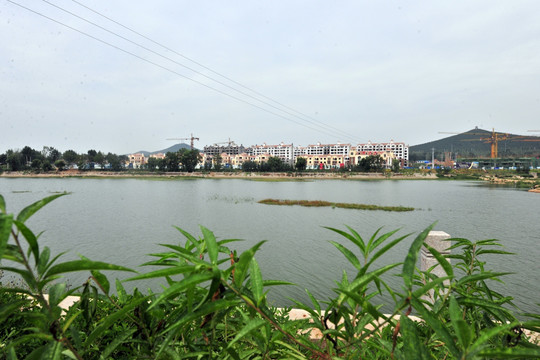 河岸风景