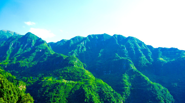 青翠山野 大山