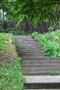 台阶林荫路