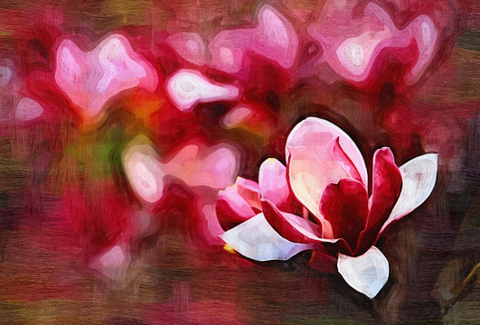 玉蘭花油畫