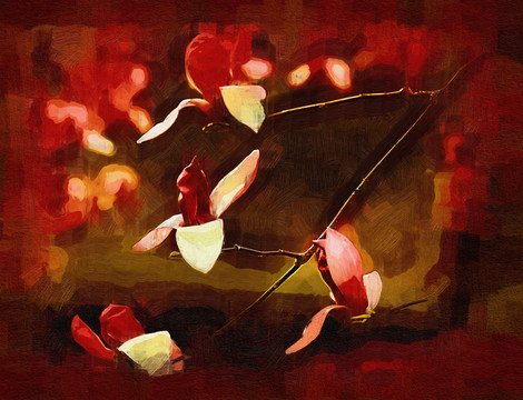 玉蘭花油畫(huà)