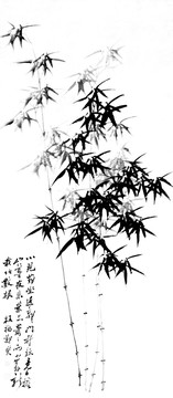 鄭板橋 墨竹圖